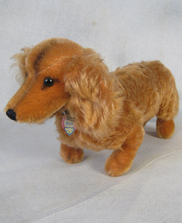 1957 Mungo monkey with yellow cheeks and blue at the end of its tail