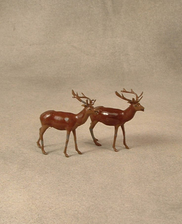 Pair of red deer (bucks)