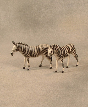 Pair of zebras